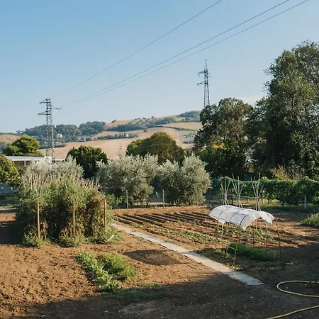 Casa Degli Ulivi - A Porto San Giorgio